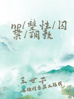 np/双性/囚禁/调教