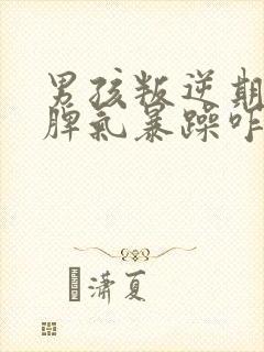 男孩叛逆期严重脾气暴躁咋办