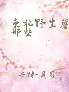 东北野生蘑菇有哪些
