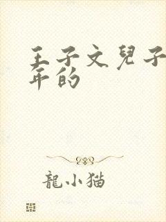 王子文儿子哪一年的