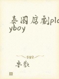 泰国腐剧playboy