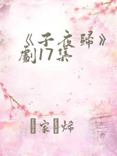 《子夜归》电视剧17集