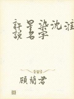 许星染沈淮川小说名字