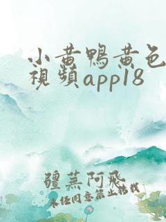 小黄鸭黄色污污视频app18