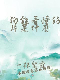 狗能看懂的动画片是什么
