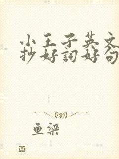 小王子英文版摘抄好词好句