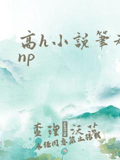 高h小说笔趣阁np