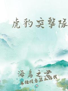 虎豹突击队 虎豹突击队