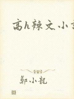 高h辣文小说