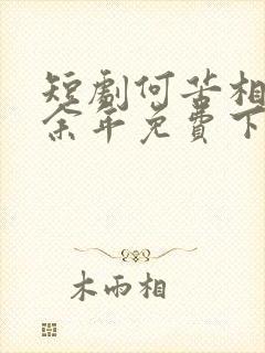 短剧何苦相思煮余年免费下载 短剧何苦相思煮余年免费下载