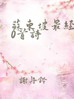 苏东坡最经典10首诗