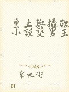 皇上与摄政王的小说双男主 皇上与摄政王的小说双男主