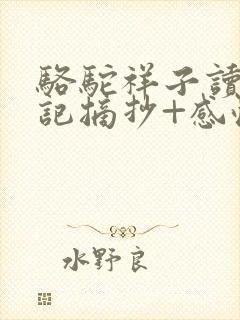 骆驼祥子读书笔记摘抄+感悟 骆驼祥子读书笔记摘抄+感悟