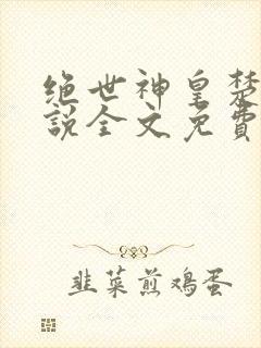 绝世神皇楚枫小说全文免费阅读下载