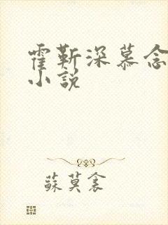 霍靳深慕念晚的小说