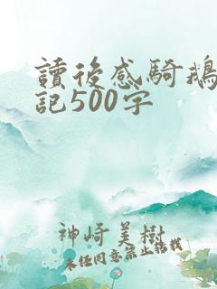 读后感骑鹅旅行记500字