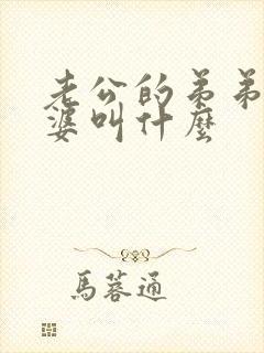 老公的弟弟的老婆叫什么