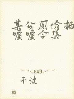 某公厕偷拍女厕嘘嘘合集