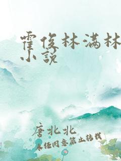 霍俊林满林舒乔小说