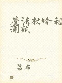 魔法杖哈利波特测试