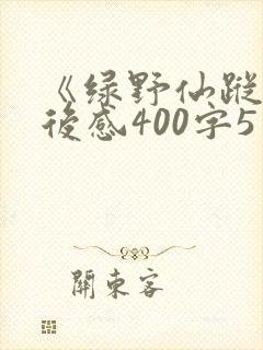 《绿野仙踪》读后感400字5篇
