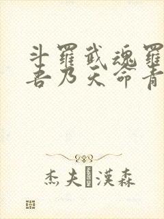 斗罗武魂罗三炮吾乃天命青龙