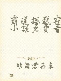 霸道总裁宠上天小说免费看
