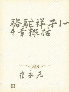 骆驼祥子1~24章概括