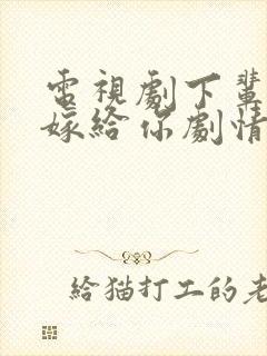 电视剧下辈子还嫁给你剧情介绍
