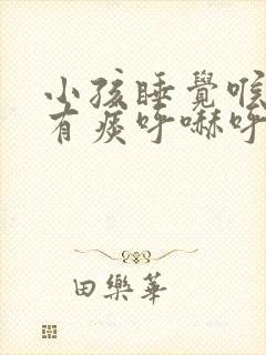 小孩睡觉喉咙里有痰呼哧呼哧的