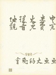 他从火光中走来观看免费完整版