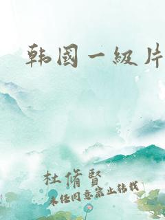韩国一级片外出