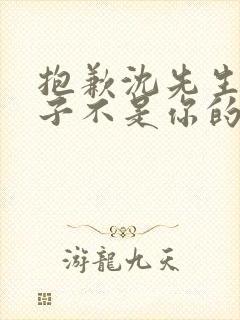 抱歉沈先生,孩子不是你的短剧完整选集