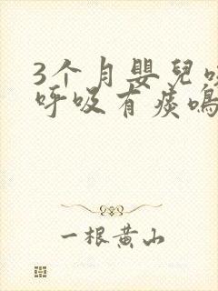 3个月婴儿咳嗽呼吸有痰鸣音怎么办