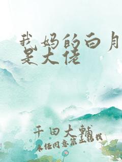 我妈的白月光竟是大佬