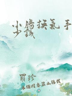 小肠换气手术多少钱