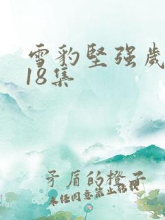 雪豹坚强岁月第18集