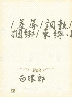 /羞辱/调教/捆绑/束缚小说