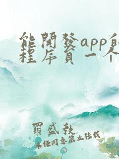能开发app的程序员一个月多少 能开发app的程序员一个月多少