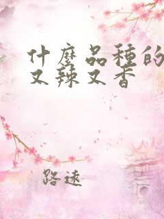 什么品种的辣椒又辣又香
