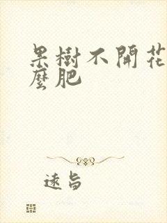 果树不开花施什么肥