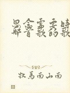 思念需要时间是哪首歌的歌词