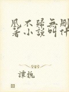 凰不归无删减原著小说叫什么名字