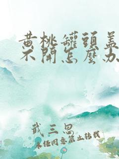 黄桃罐头盖子拧不开怎么办