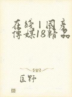 在线 | 国产传媒18精品免费