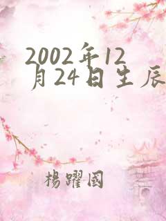 2002年12月24日生辰八字