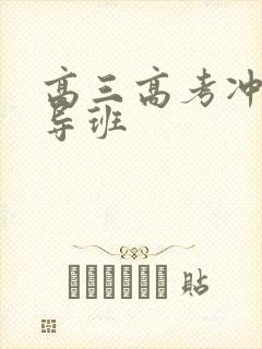 高三高考冲刺辅导班