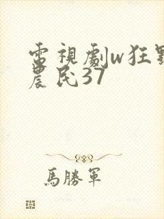 电视剧w狂野小农民37