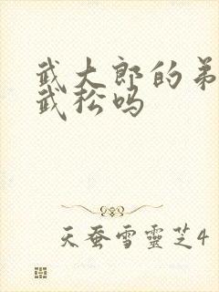 武大郎的弟弟是武松吗 武大郎的弟弟是武松吗