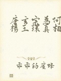 唐玄宗为何迷恋杨玉环真相